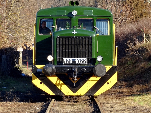 769.jpg