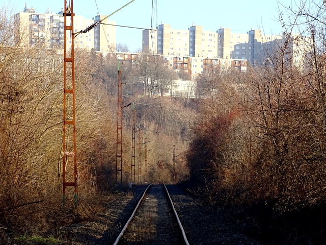 774.jpg