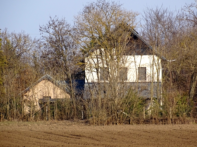 781.JPG