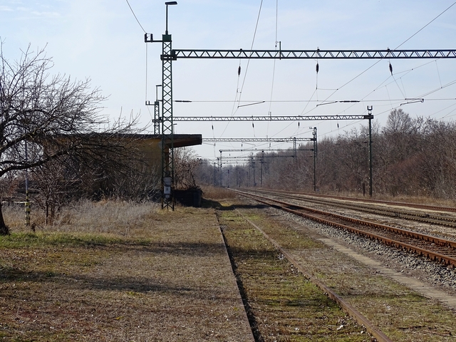 783.JPG