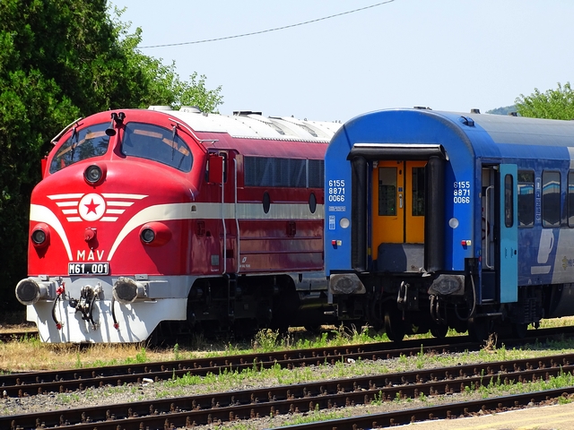 105.JPG