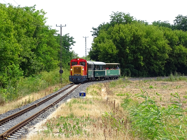 117.jpg