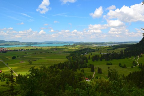 neuschwanstein Forggensee Schwangau