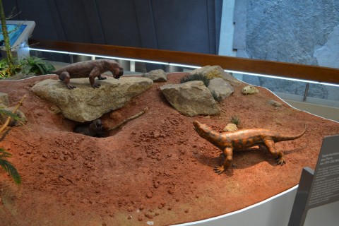 Museum am Löwentor stuttgarti természettudományi múzeum dinoszaurusz