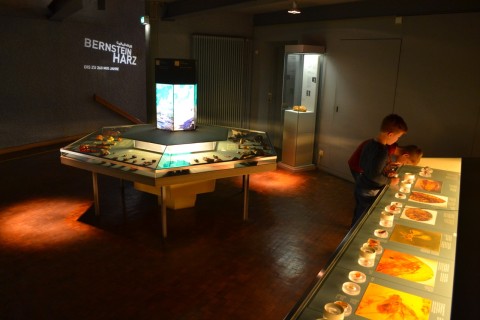 Museum am Löwentor stuttgarti természettudományi múzeum borostyánkő