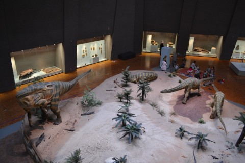 Museum am Löwentor stuttgarti természettudományi múzeum dinoszaurusz