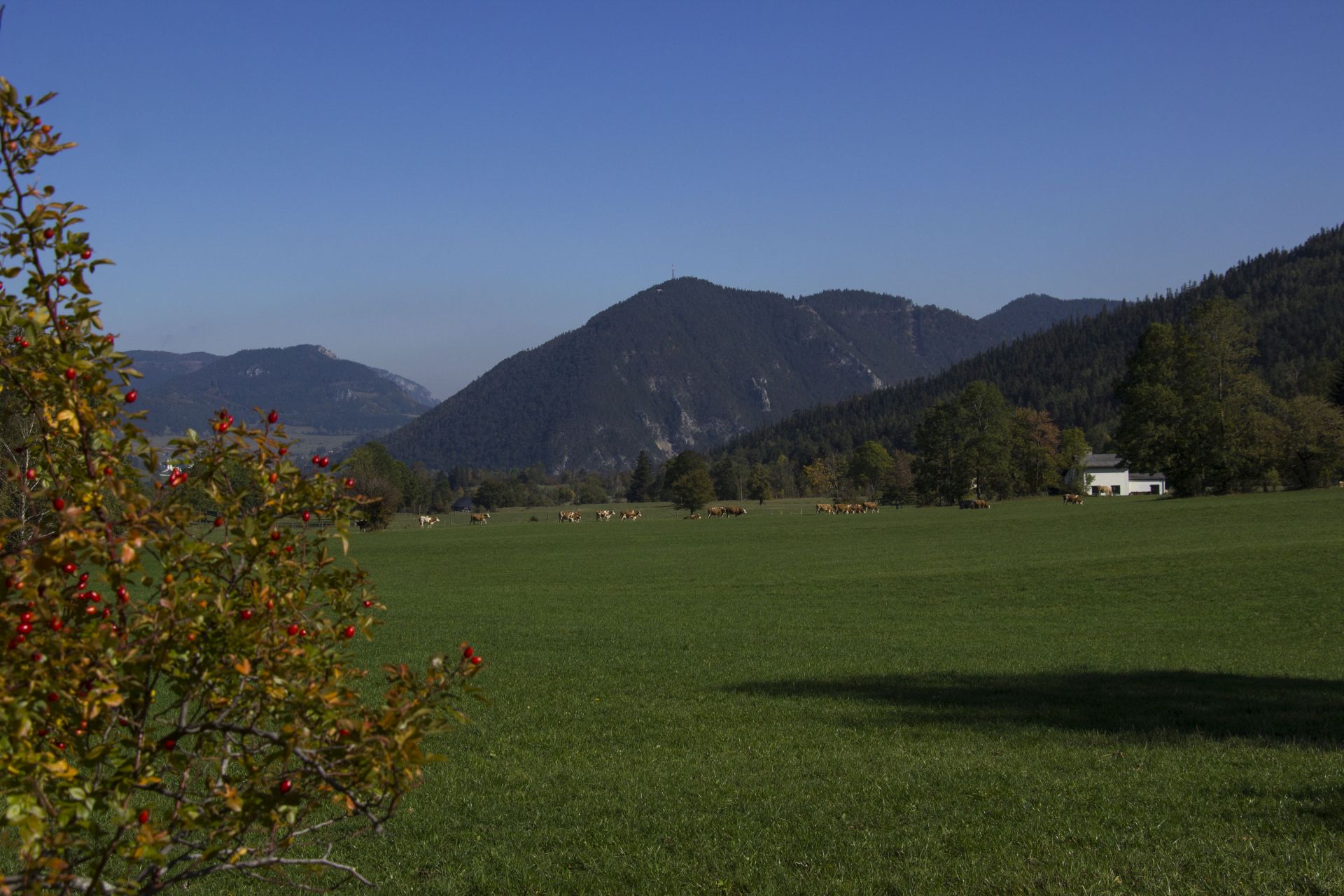 ausztria, puchberg am schneeberg