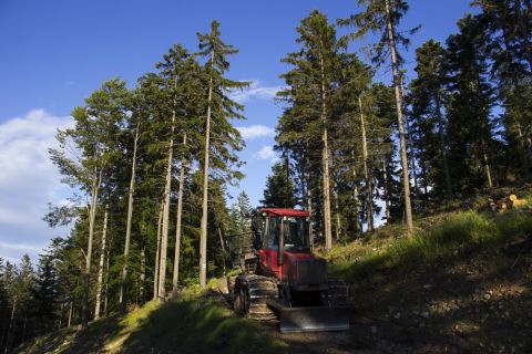 torony puchberg am schneeberg