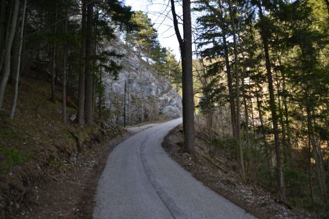 puchberg schneeberg