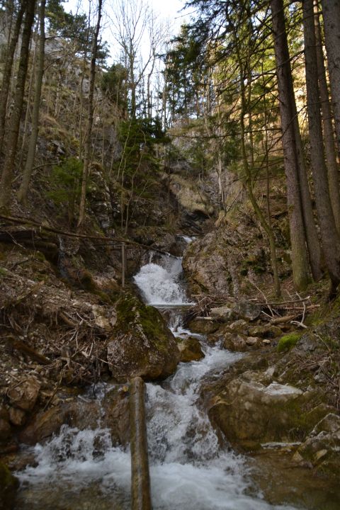 puchberg sebastianbach wasserfall