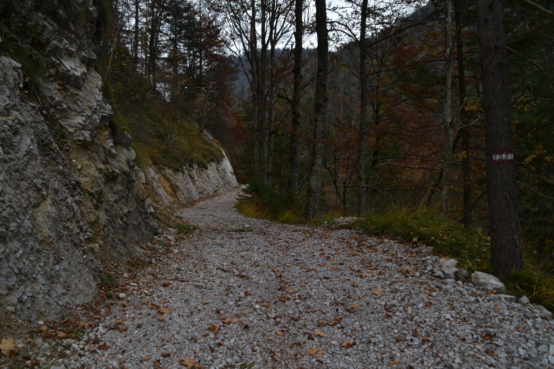 Felső-Ausztria, erdő, hegyvidék, túra, kirándulás, Steyrbrücke, Hinterstoder