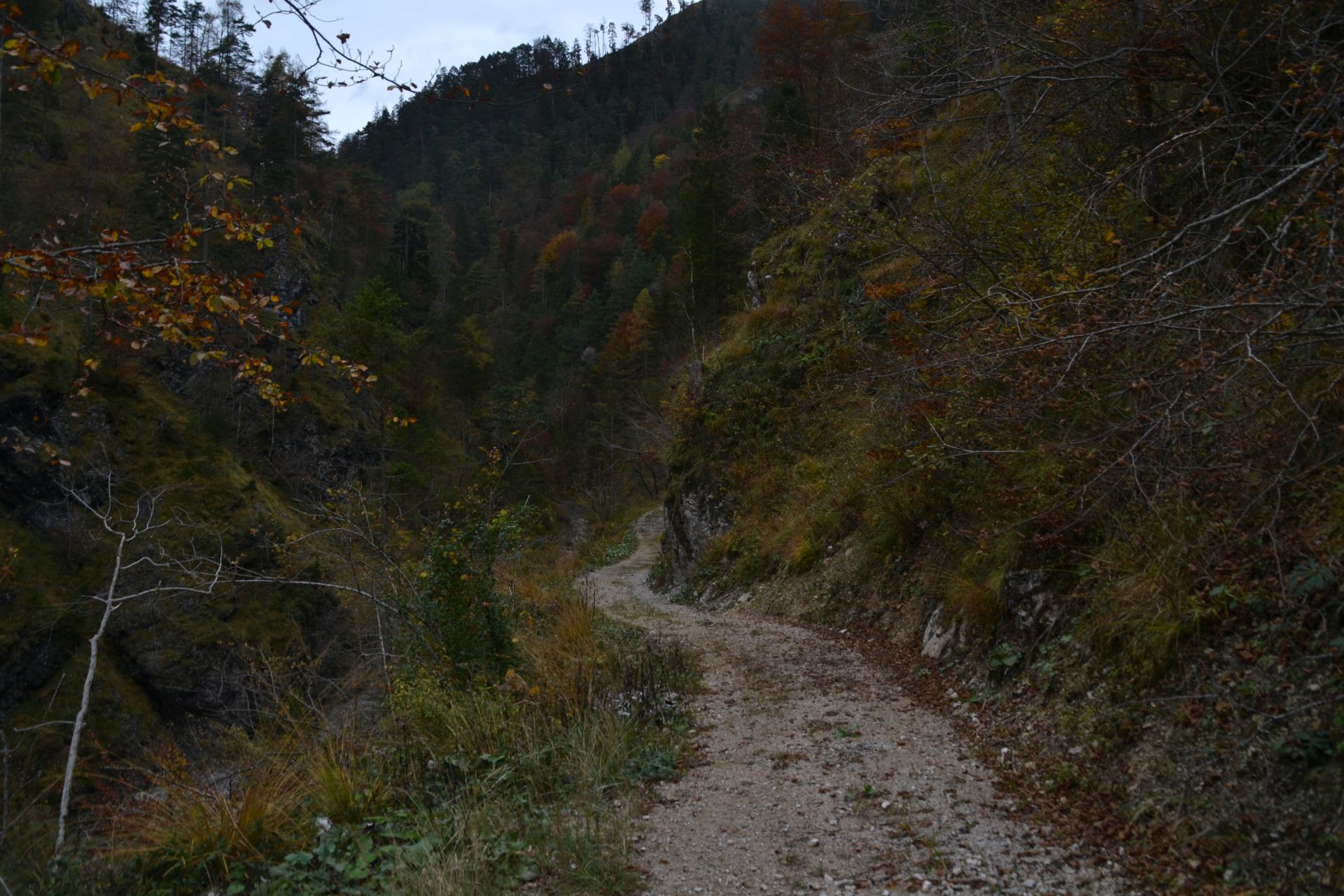 Felső-Ausztria, erdő, hegyvidék, túra, kirándulás, Steyrbrücke, Hinterstoder