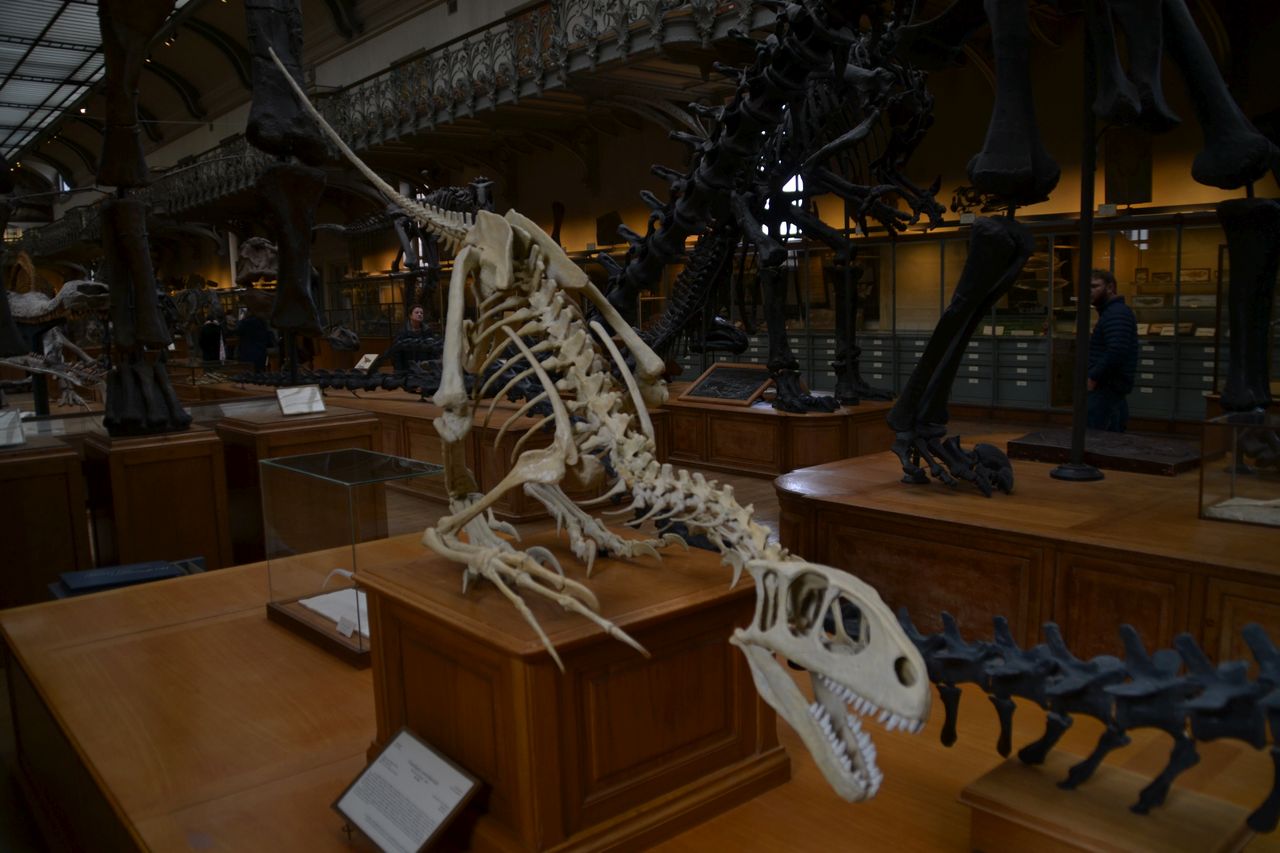 Muséum national d'Histoire naturelle