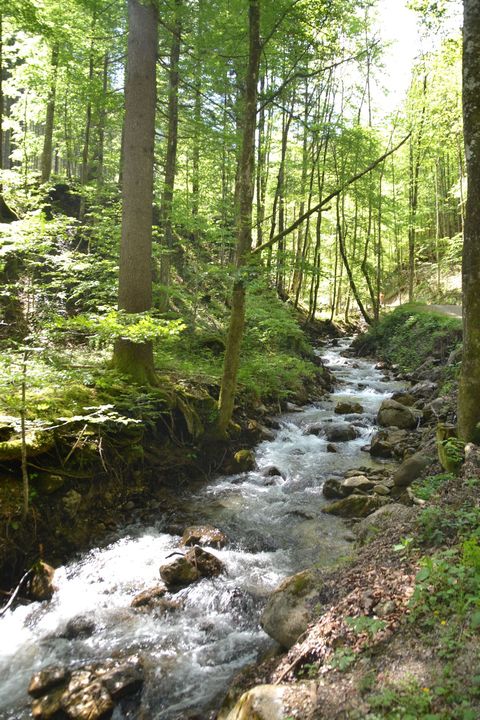 Spital am Pyhrn, Dr.-Vogelgesang-Klamm, ausztria, szurdok