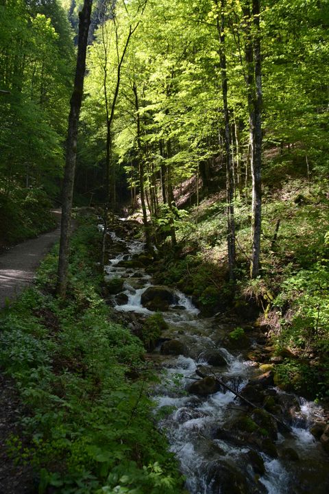 Spital am Pyhrn, Dr.-Vogelgesang-Klamm, ausztria, szurdok