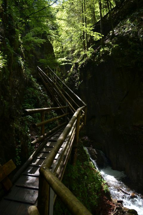 Spital am Pyhrn, Dr.-Vogelgesang-Klamm, ausztria, szurdok