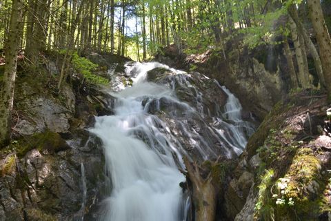 Spital am Pyhrn, Dr.-Vogelgesang-Klamm, ausztria, szurdok