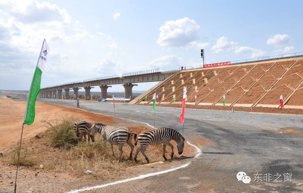 kenya, mombasa-Nairobi-vasútvonal, normál nyomtávolság, kína, zebra, afrika