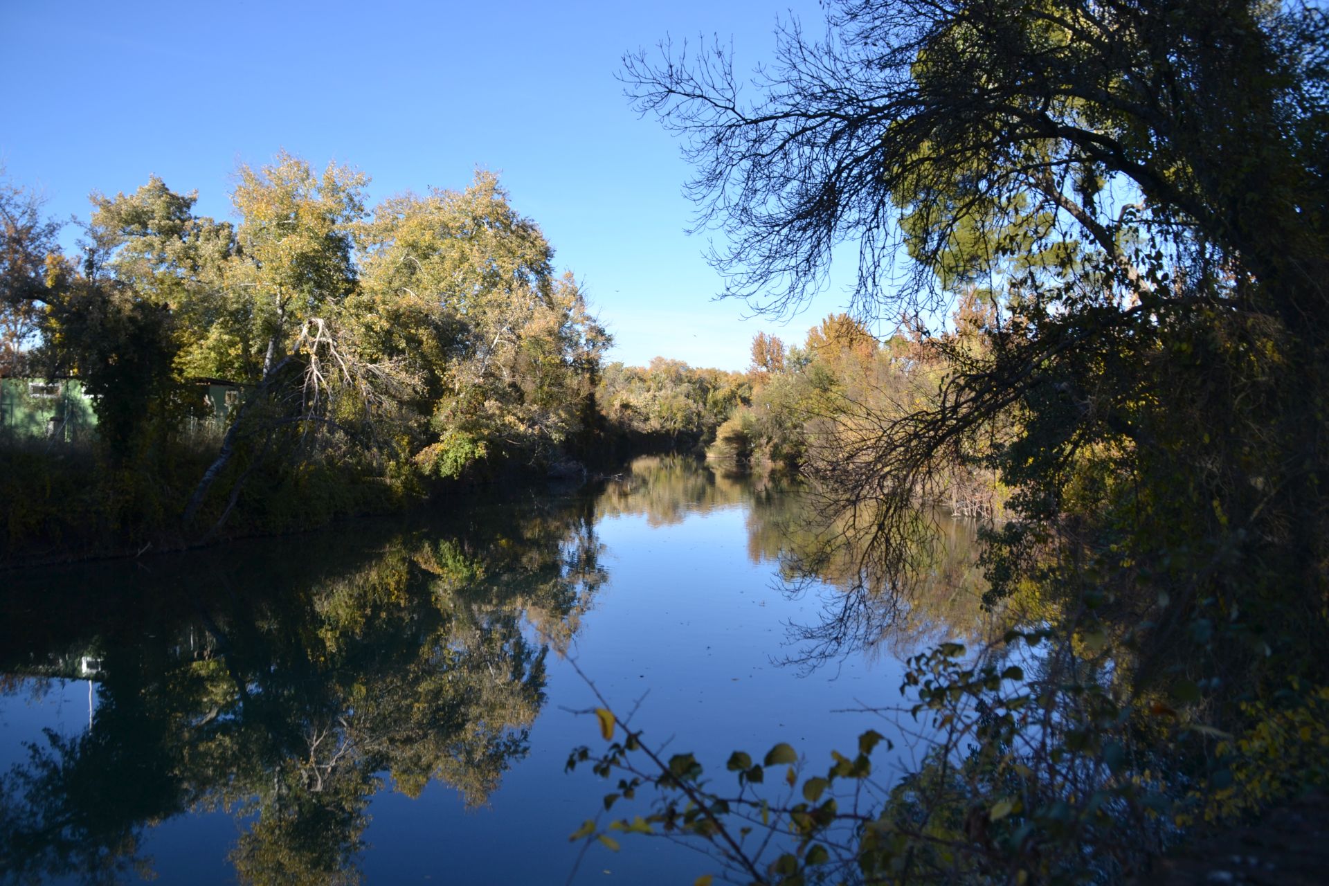 aranjuez, park, tajo folyó