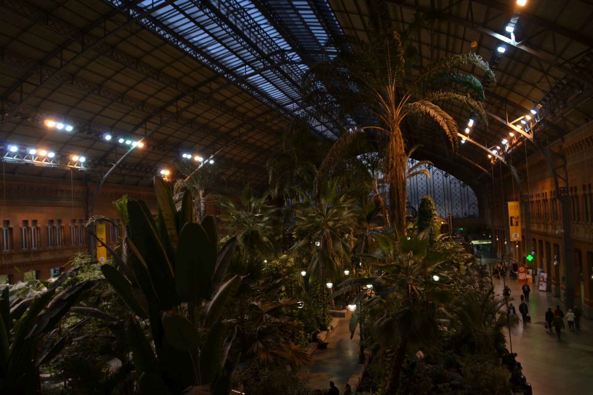 Atocha pályaudvar, pálmaház, madrid