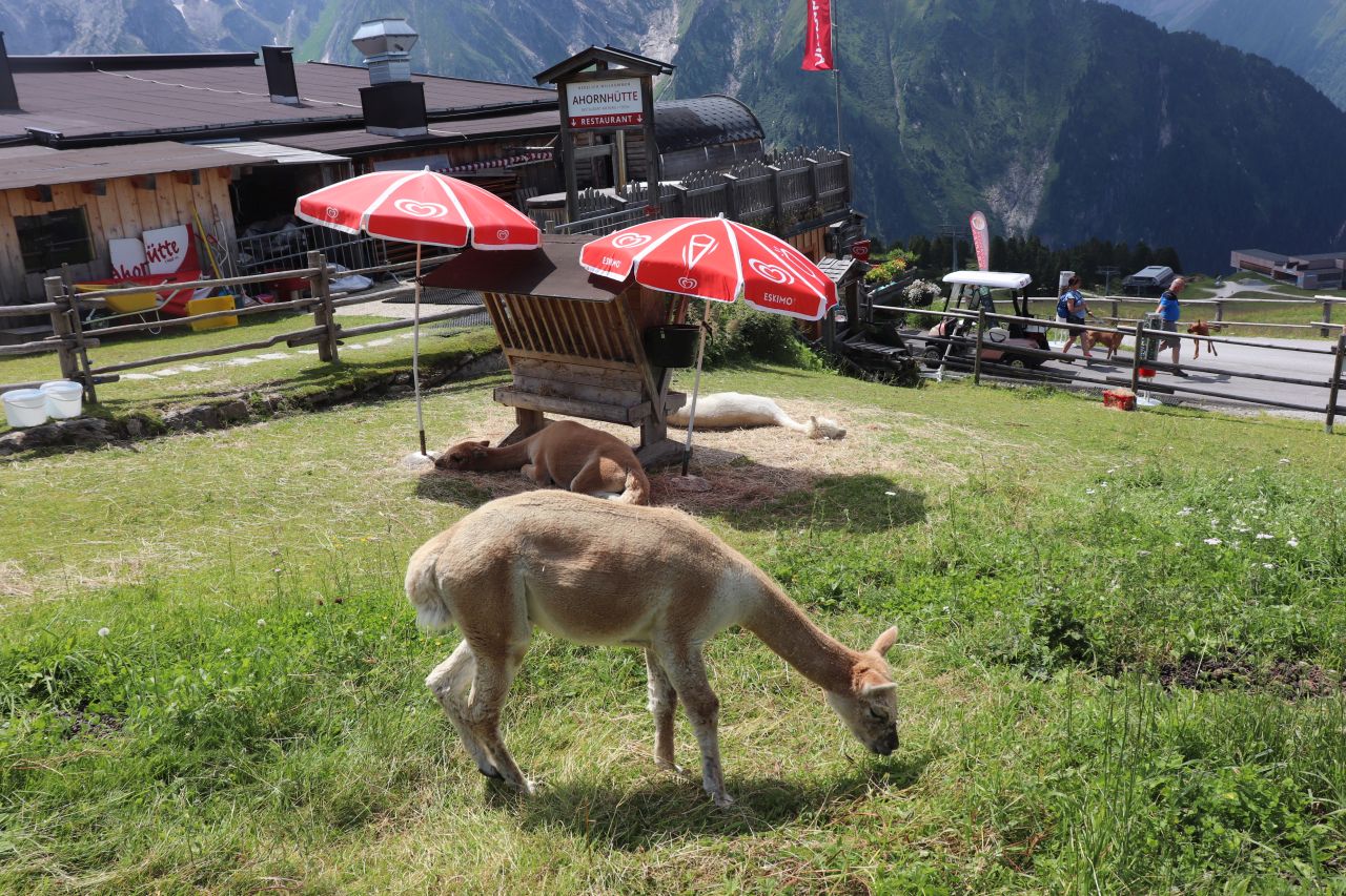 ausztria, tirol, ahornbahn