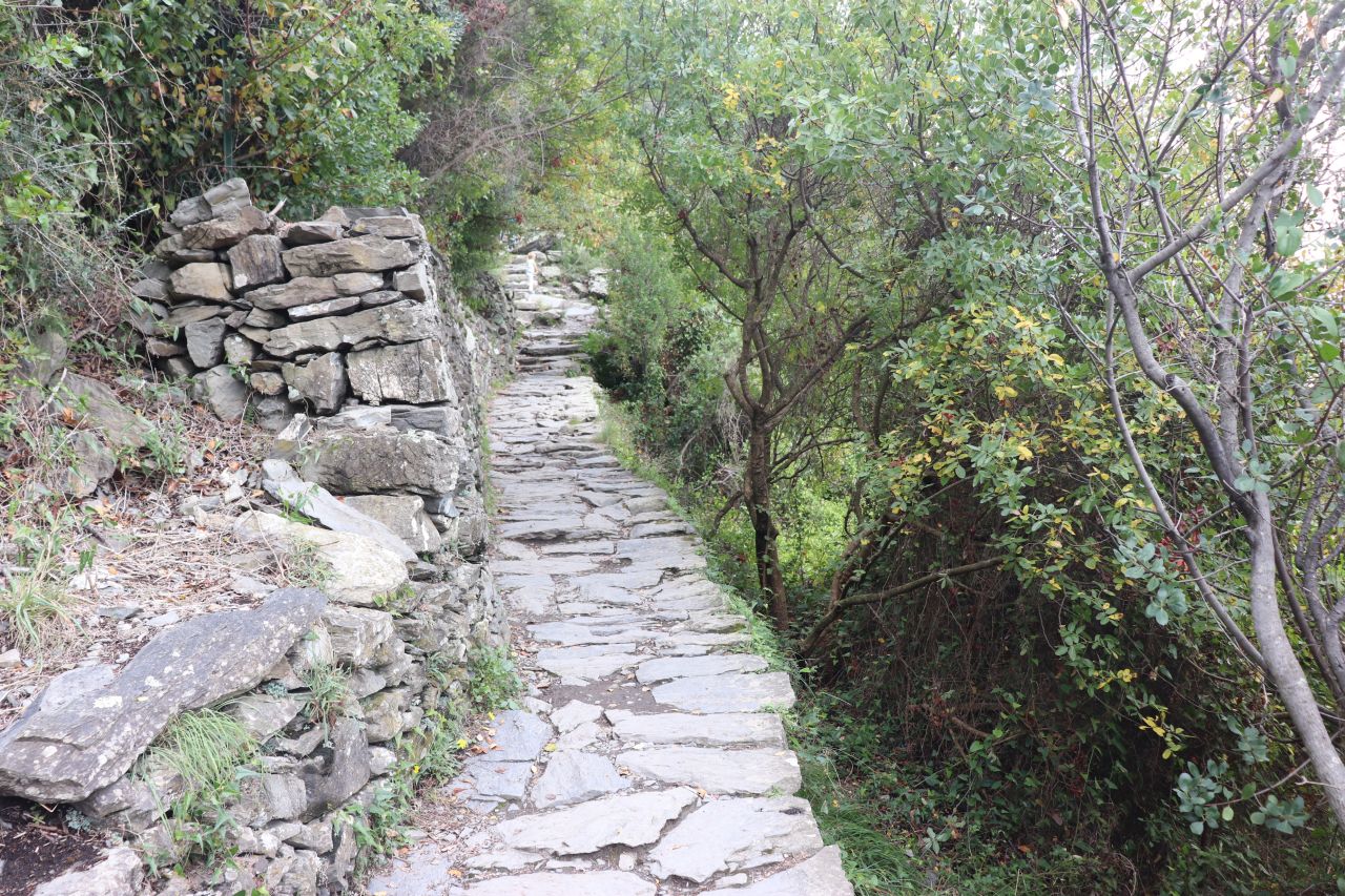 olaszország, cinque terre, varnessa