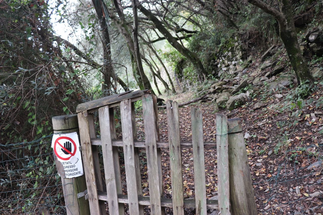 olaszország, cinque terre, varnessa