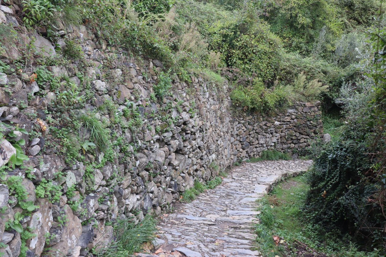 olaszország, cinque terre, varnessa