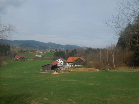 Bayern wald