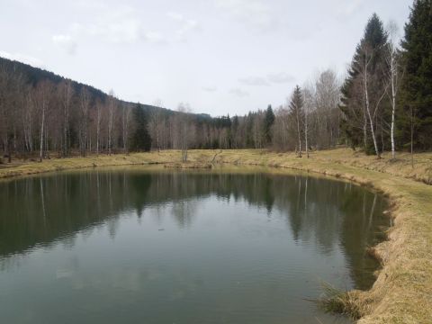 Bayerisch wald