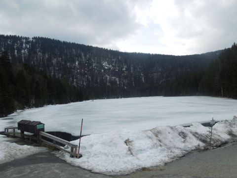 Großer Arbersee