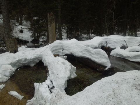 Großer Arbersee