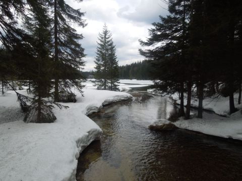 Großer Arbersee