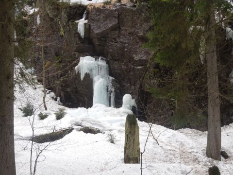 Großer Arbersee