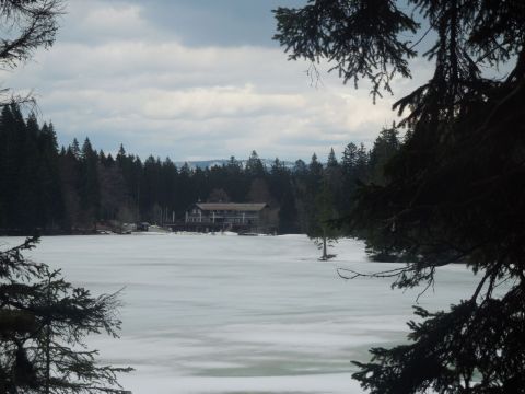 Großer Arbersee