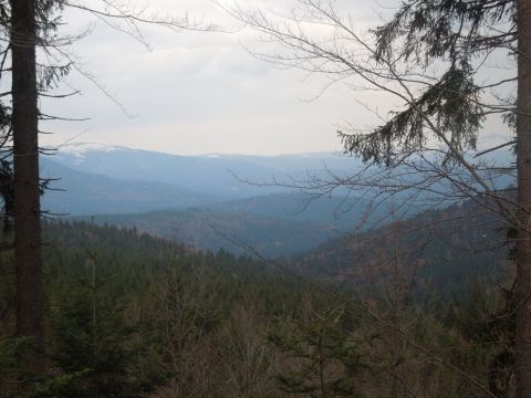 Bayerisch wald