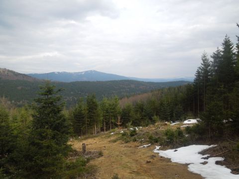 Bayerisch wald