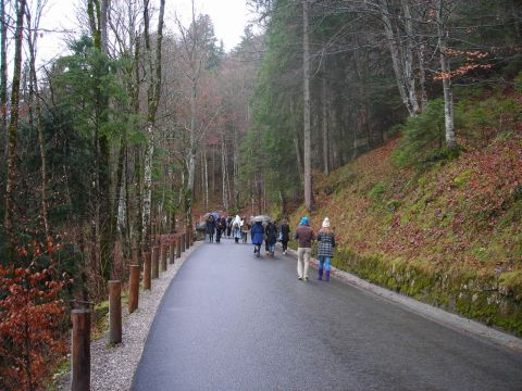 Neuschwanstein út