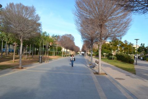 Estació Intermodal de Palma