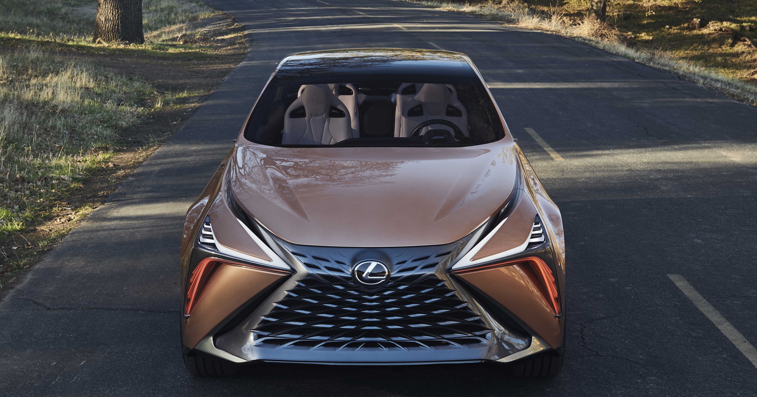 636515737784630717-lexus-lf1-limitless-56.jpg