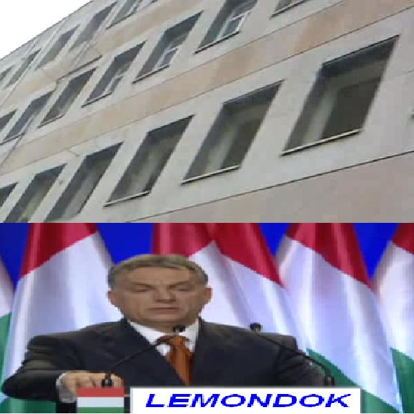 lemondok.JPG