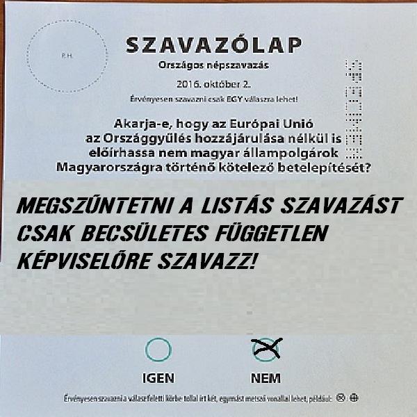 szavazo3.JPG