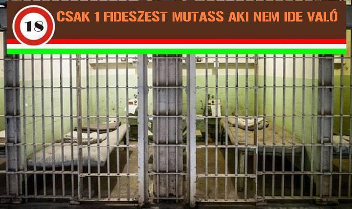 zárka1.JPG