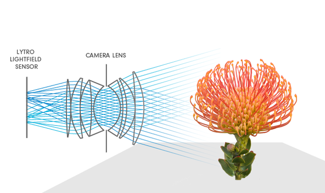 light_field_diagram-4ea0adb-intro.png