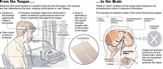 brain_interface.jpg