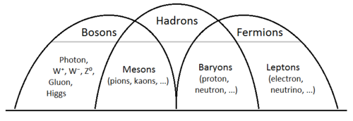 500px-Bosons-Hadrons-Fermions.png