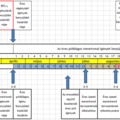 A 2023-ra vonatkozó éves menetvonal és szolgáltatás kiutalás