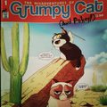 grumpy catregény. remélem rettenetes lesz :D #grumpycat #comics