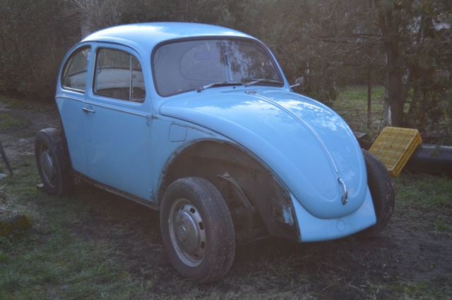 dsc_0411.JPG