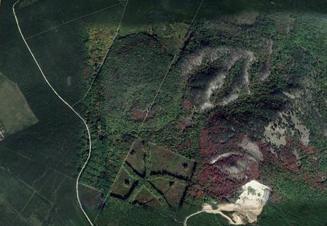 landart_csillag_paty_20181025_650x450.jpg